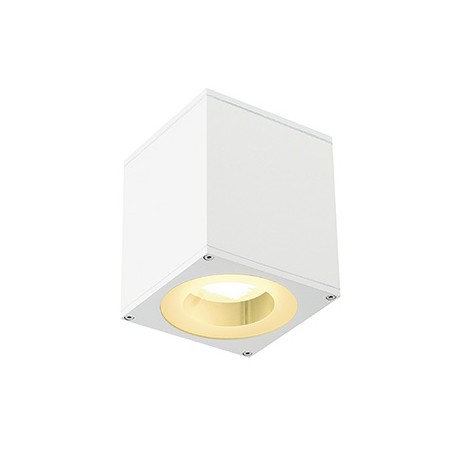 BIG THEO UP/DOWN OUT GX53 applique. carré. blanc. max. 2x11W