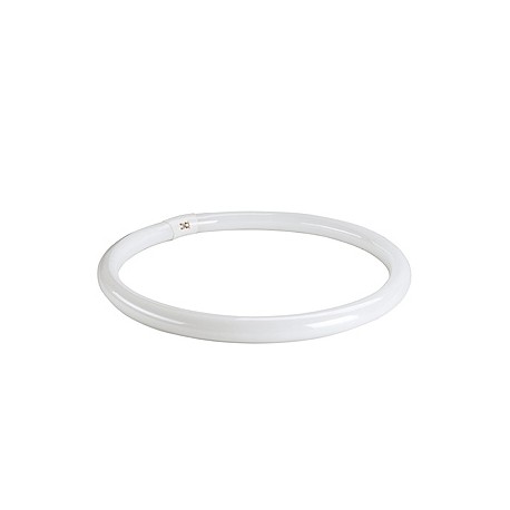 T8 ring tube fluorescent. 40W. 3000K. G10q