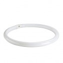 T8 ring tube fluorescent. 40W. 3000K. G10q