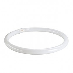 T8 ring tube fluorescent. 40W. 4000K. G10q