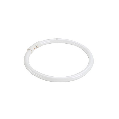 T8 ring tube fluorescent. 32W. 3000K